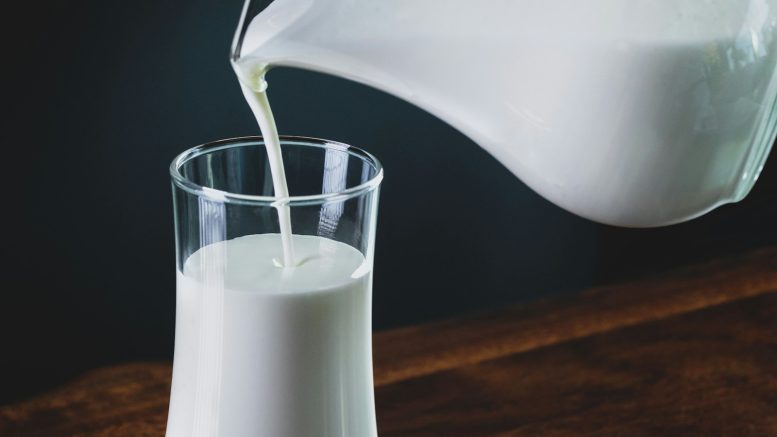 Laits végétaux maison : les erreurs qui les rendent gluants ou fades
